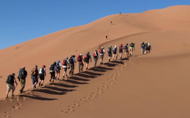 Moroccan Sahara Desert Dunes
